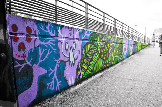 14408347_10153767369565025_1868180877_o