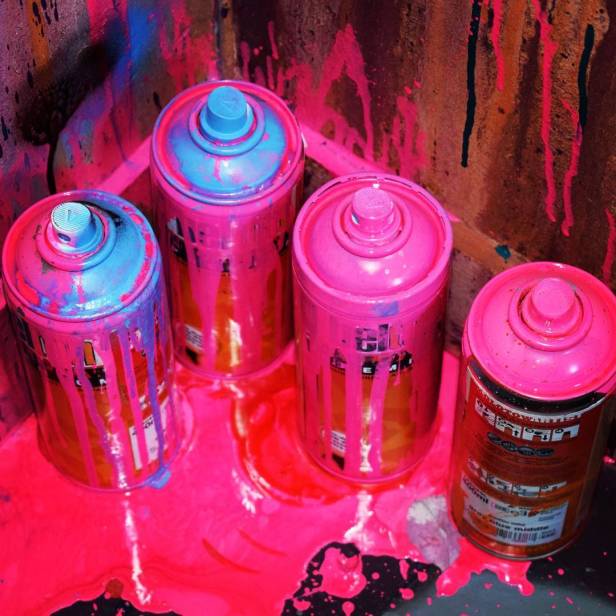 19534290_147446302491359_8158932557967130624_n