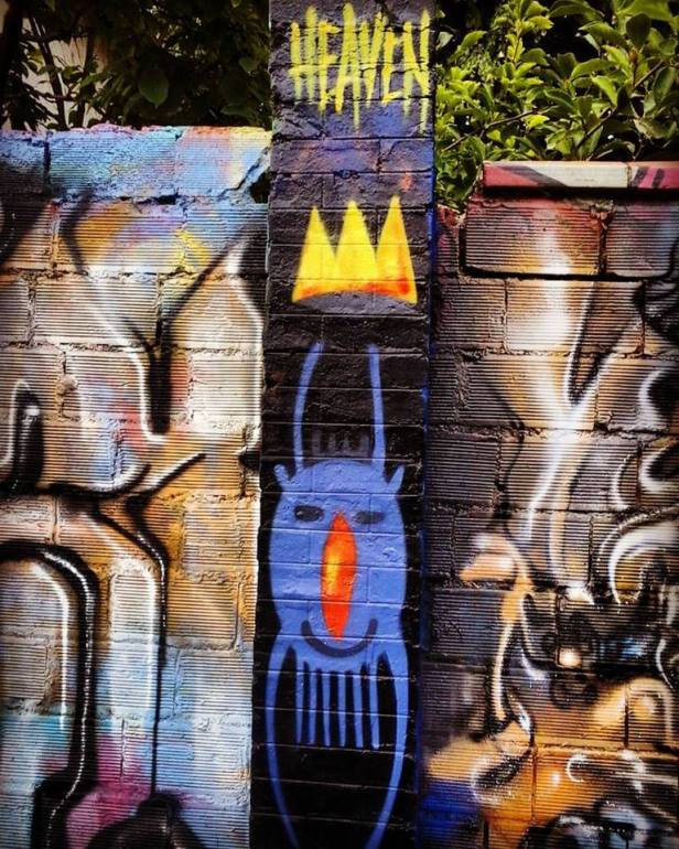 20476633_10214046113686599_9146898346439672562_n