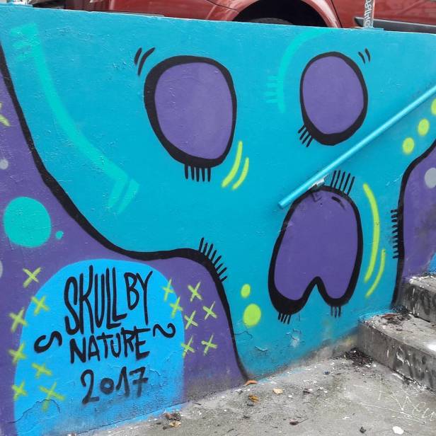 21296785_827825350709855_1678444636269445120_n