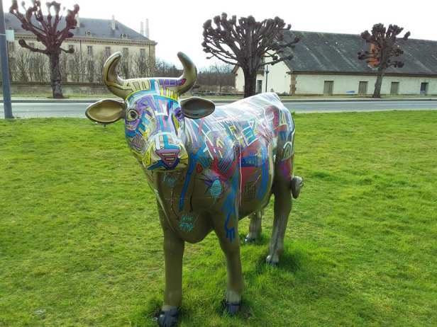 54519721_10218983042026722_970029874313953280_n