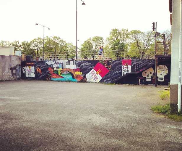 57306186_448611009217794_3340235160951020563_n