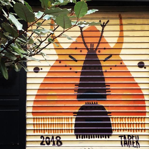 34604277_202639603694842_572227340478709760_n