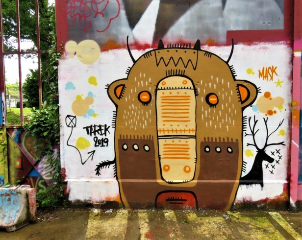 62310696_640440243096497_3051525468684550144_n