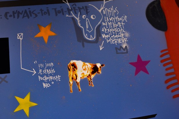 62594315_2297003587080096_6473278849156120576_n