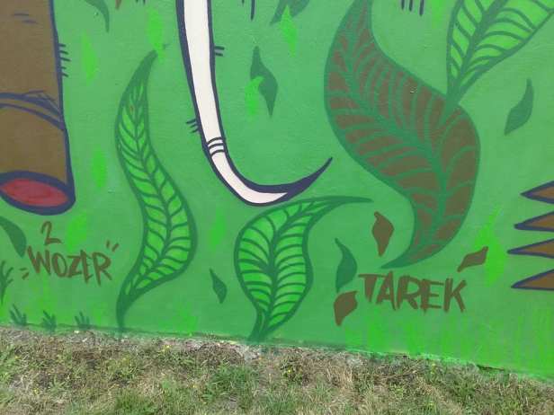 67458300_3155070631201724_2491077363777929216_n