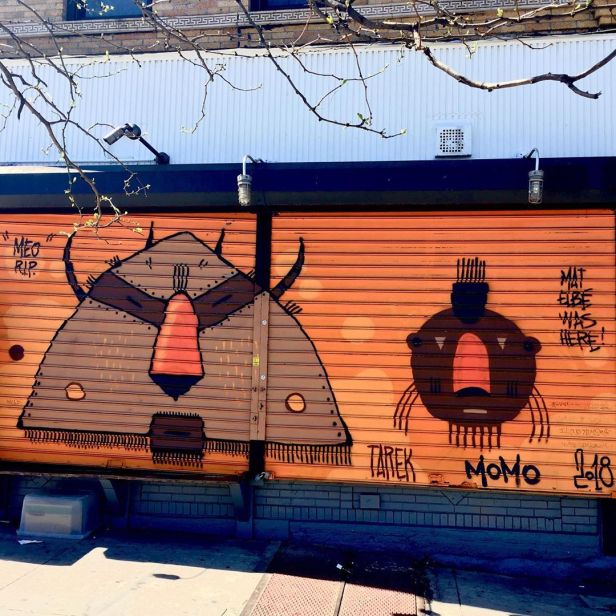 67821247_417203979153814_4491519867606850435_n